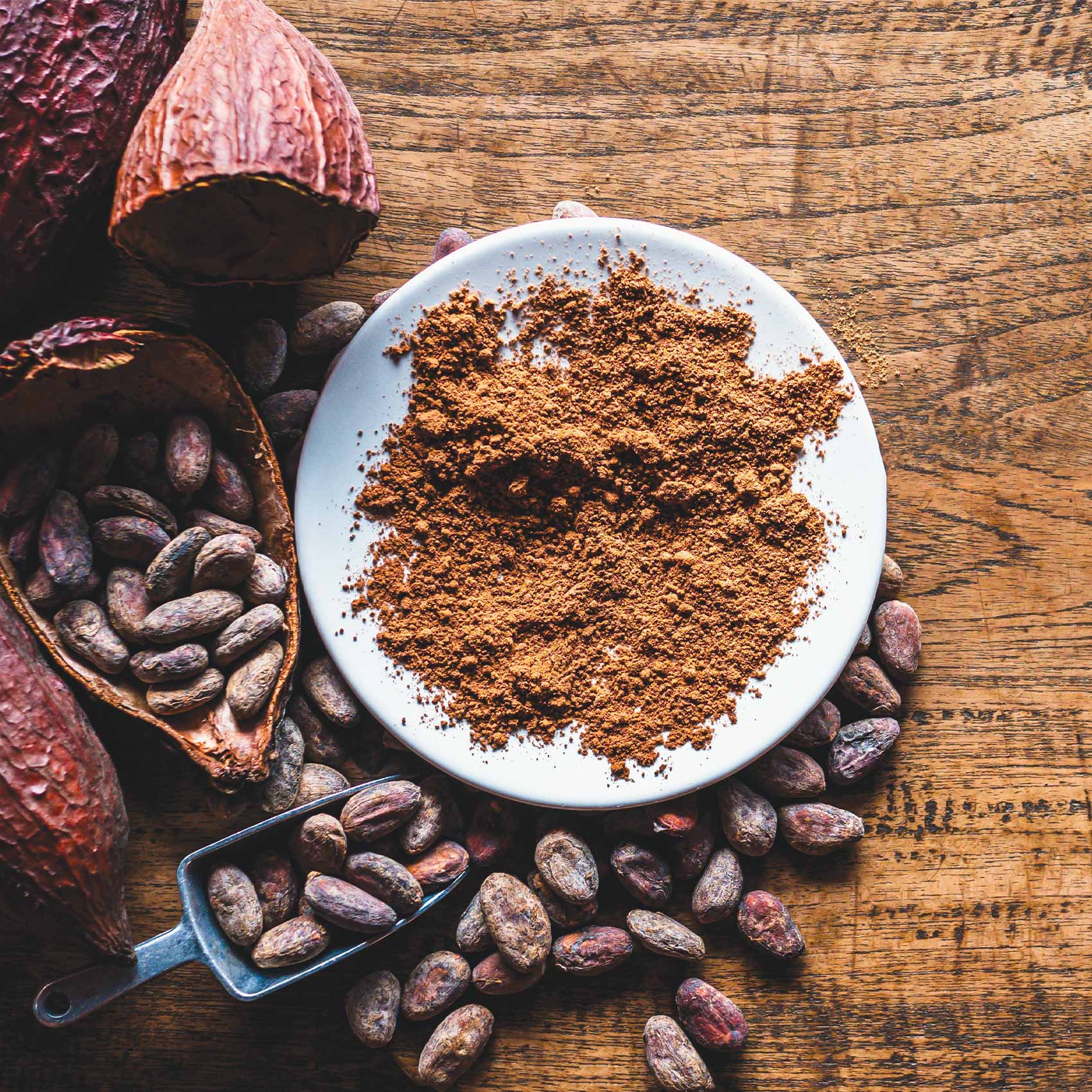 Cocoa Powder